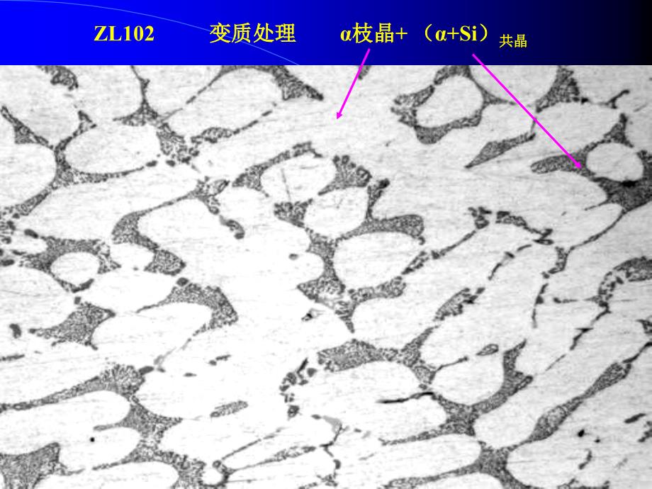 有色金属及其合金显微组织分析_第3页