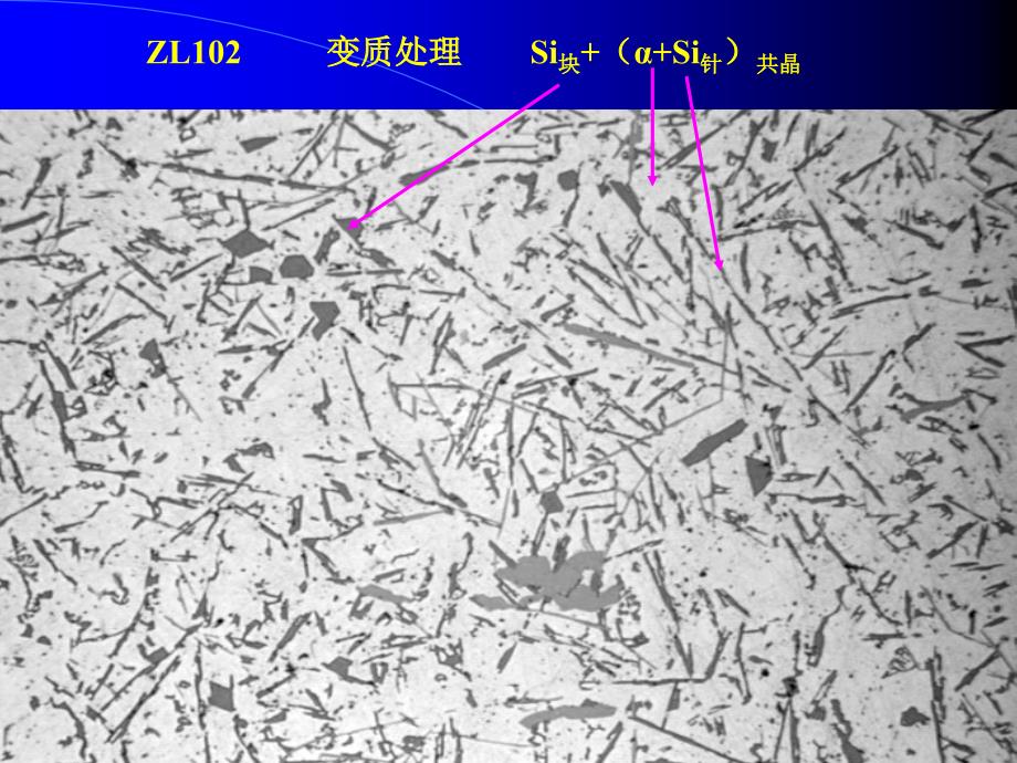 有色金属及其合金显微组织分析_第4页