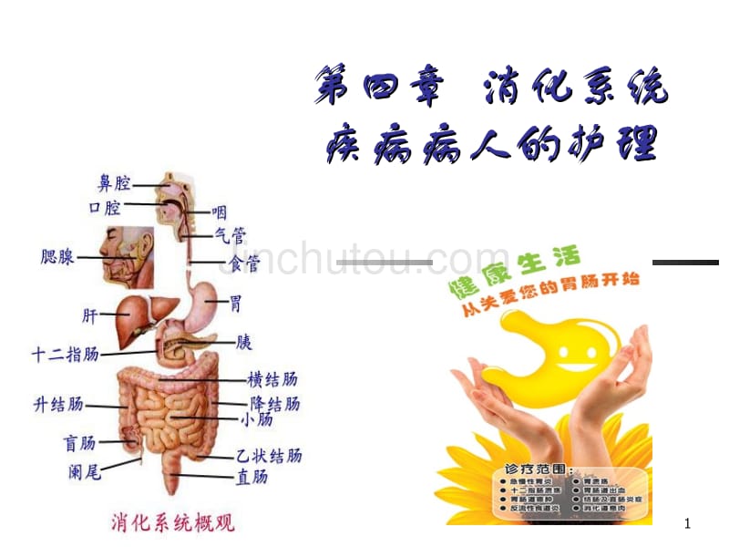 1消化系统疾病病人的护理概述及胃炎_第1页