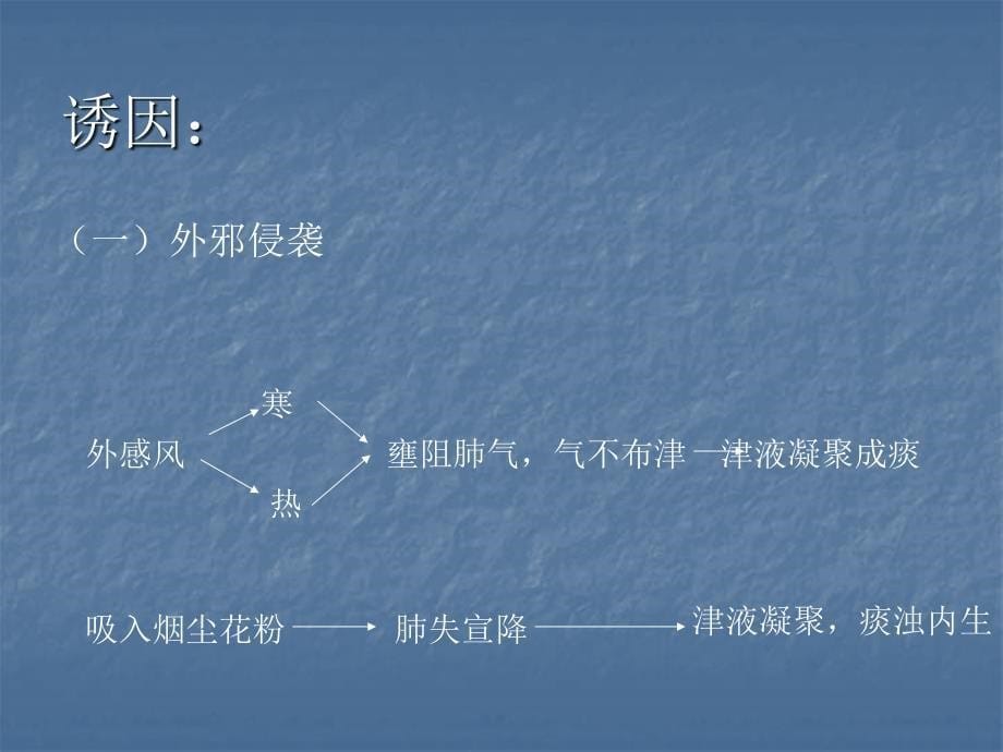 儿童哮喘的中医治疗医学PPT_第5页