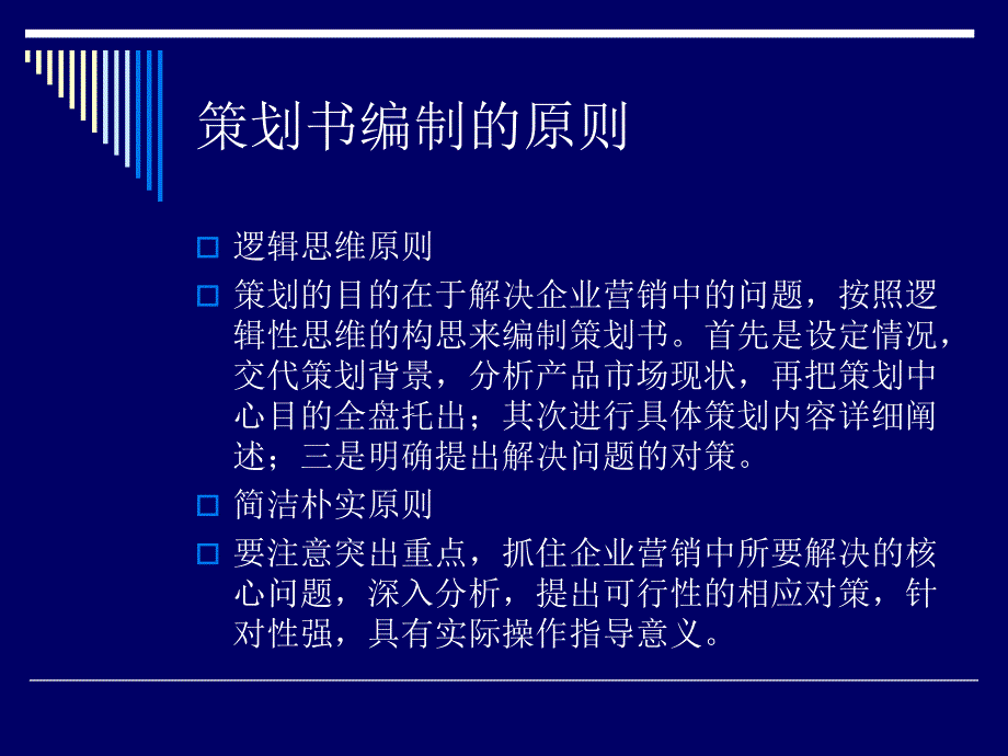 市场营销策划书的撰写_第4页