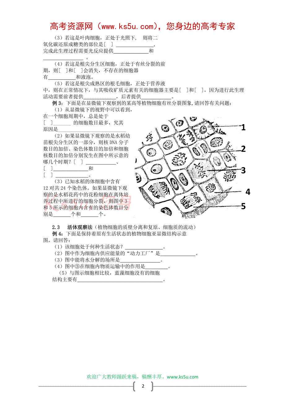 2011届高三生物选择题专项训练一(2)_第2页