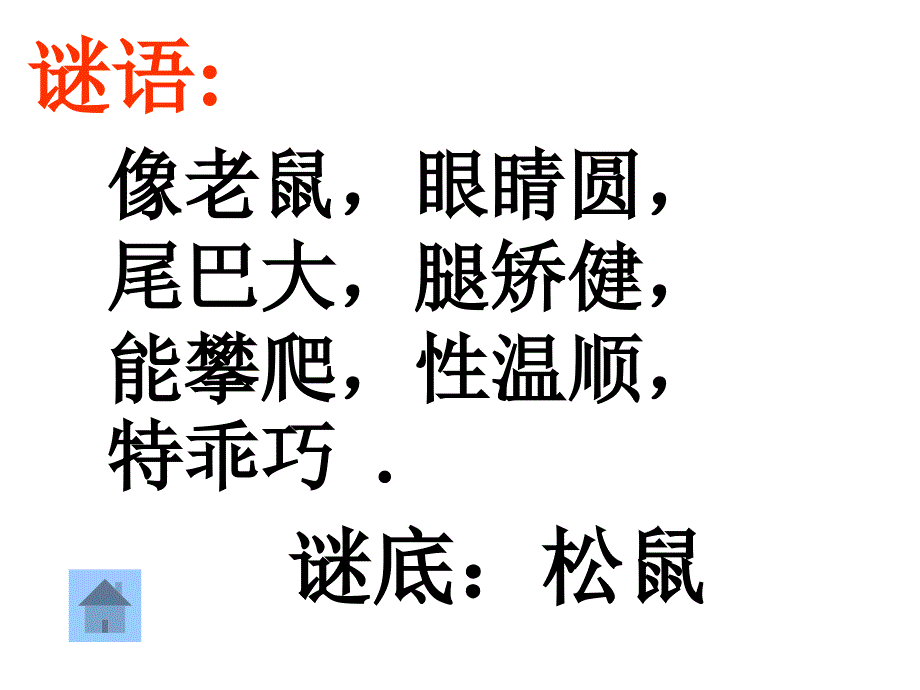 苏教版初中七年级下学期语文下册松鼠公开课一等奖_第1页