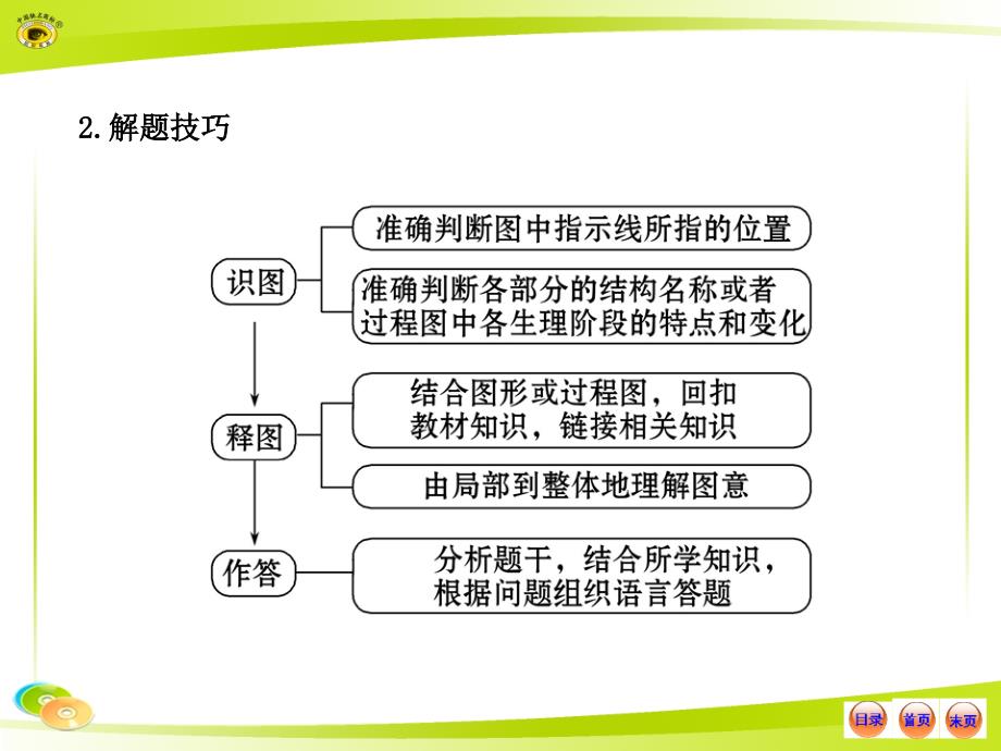 人教版初中生物中考复习专题七方法专题_第3页