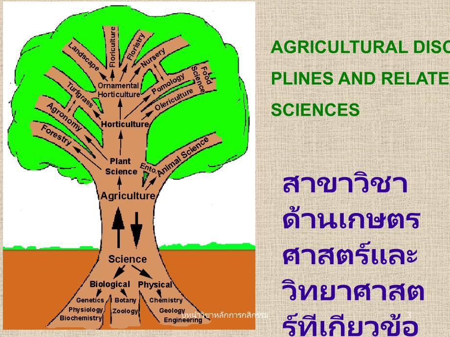 植物学及园艺学英文版 botany and horticulture_第3页