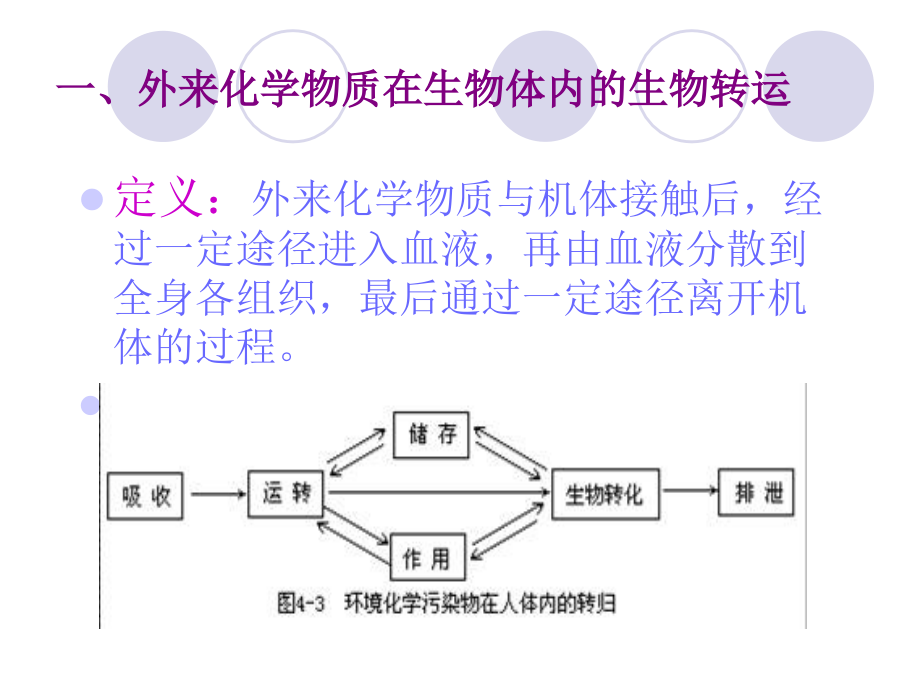 化学物质与人体健康_第3页