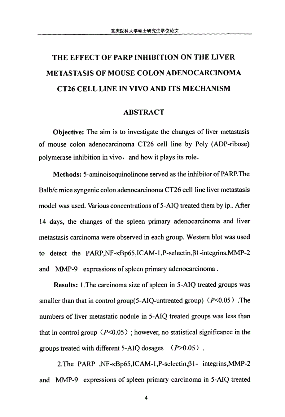 PARP抑制对小鼠结肠腺癌CT26细胞肝转移的影响及其机制探讨_第4页