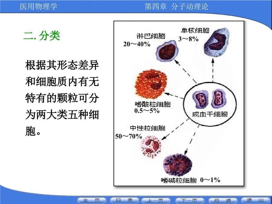 2011白细胞的流变性-2_第5页