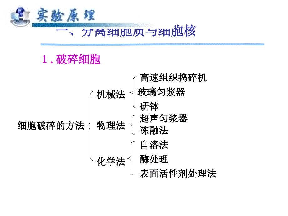 实验六 细胞核的分离与核酸的鉴定_第3页