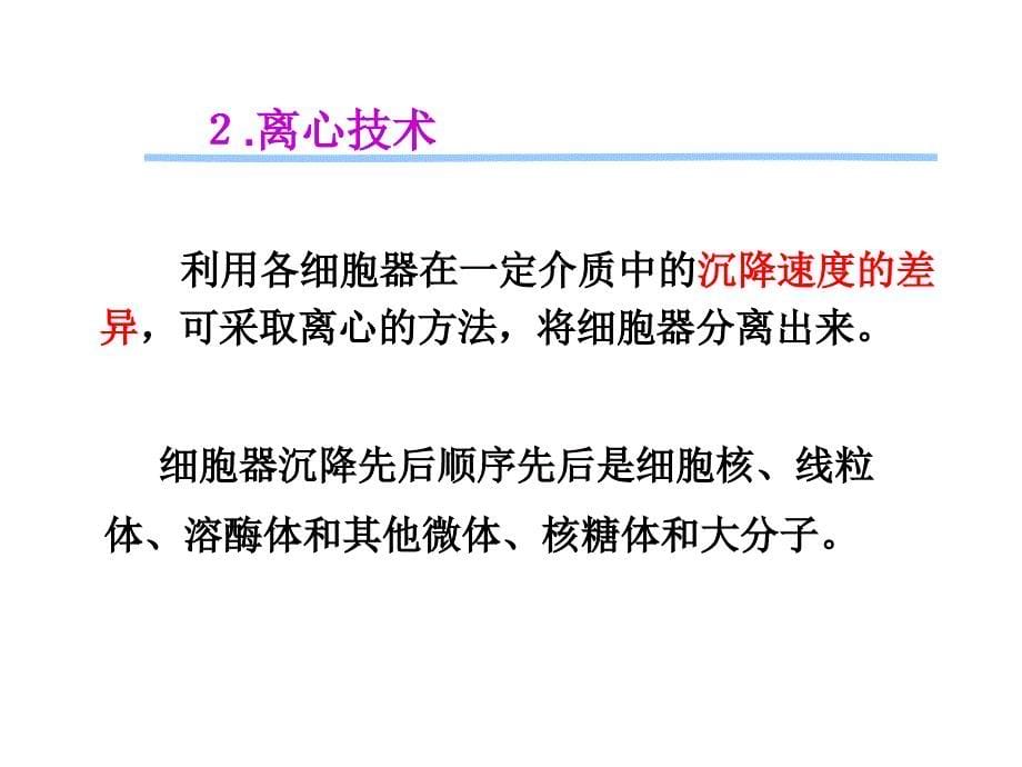 实验六 细胞核的分离与核酸的鉴定_第5页