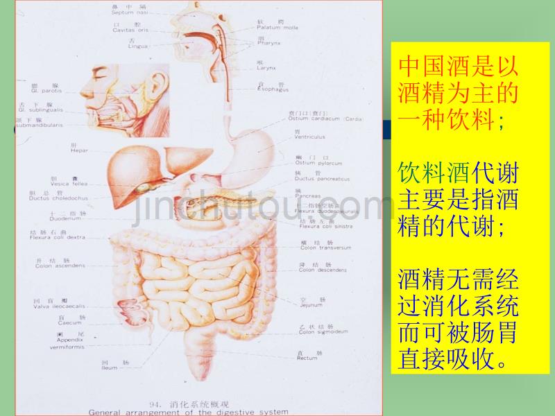 单元10中国酒的鉴评_第4页