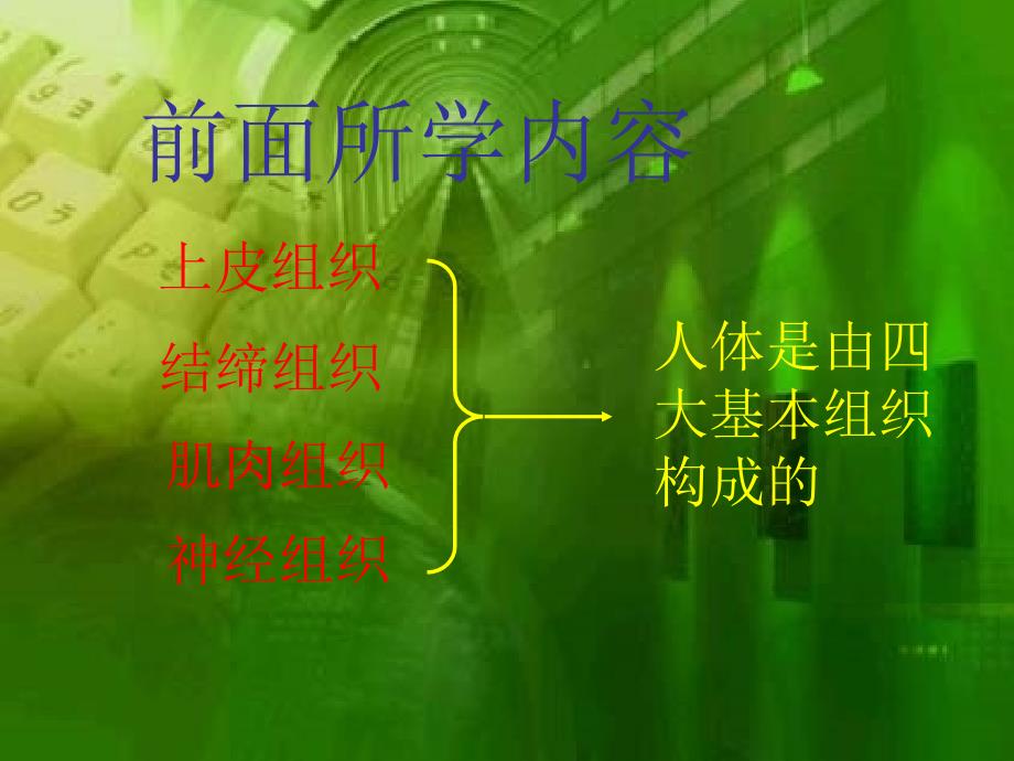 循环系统.ppt_第2页