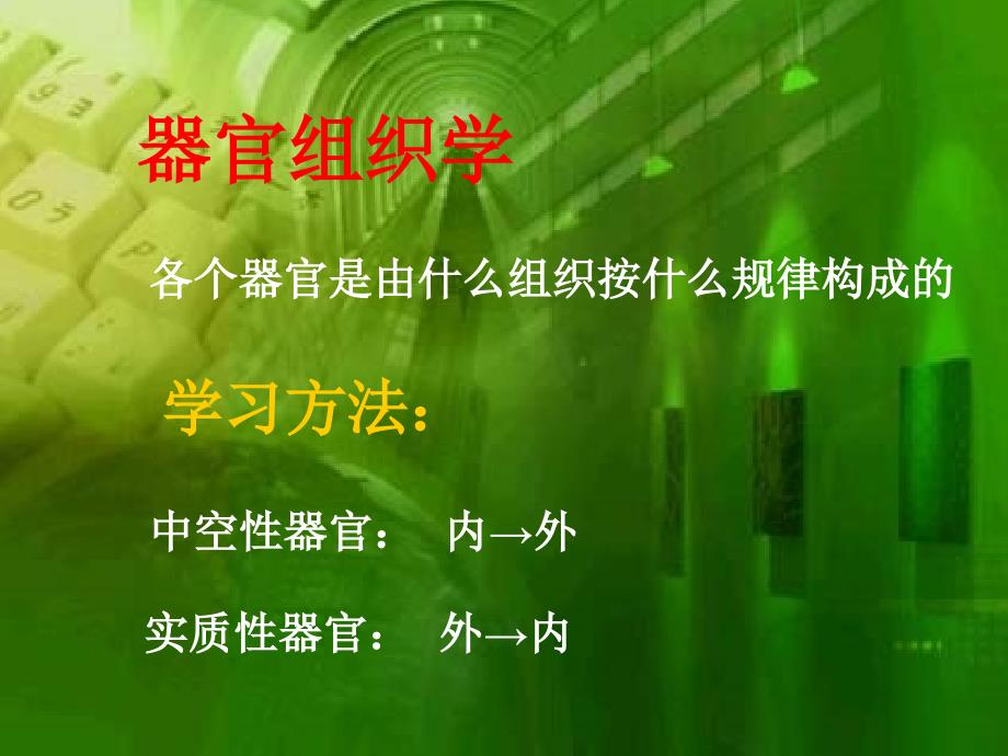 循环系统.ppt_第4页