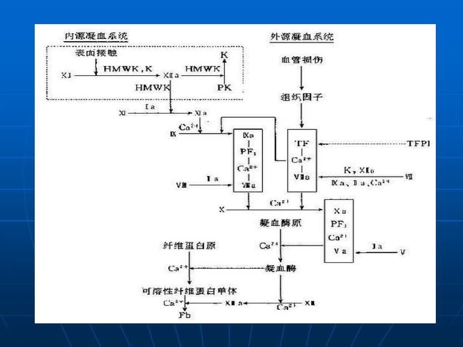 血栓与止血检查_第5页