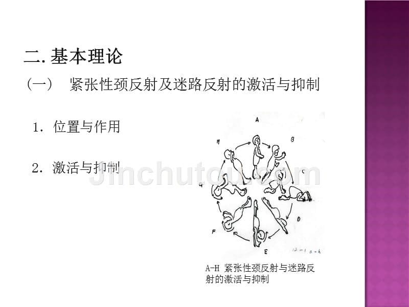 康复治疗学rood技术_第5页