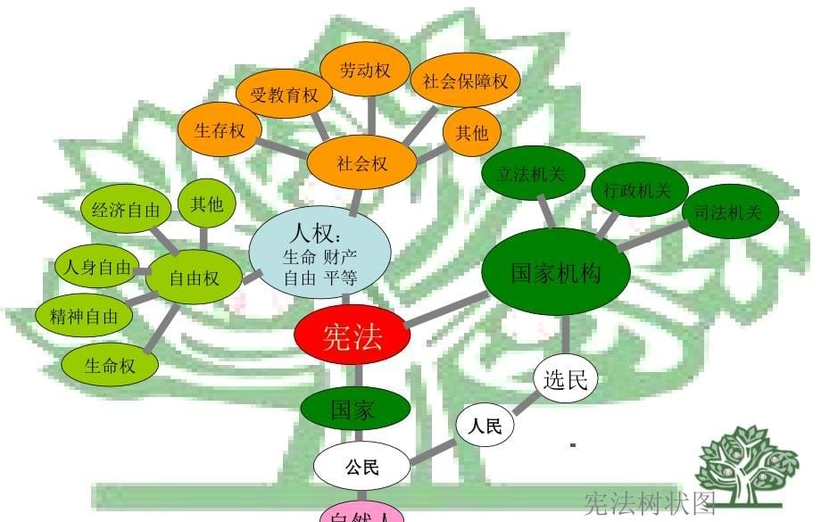 法制在线 宪法基本理论第一至六章2013.9_第5页