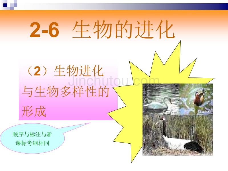 2011届高考生物第一轮夯实基础复习课件14_第2页