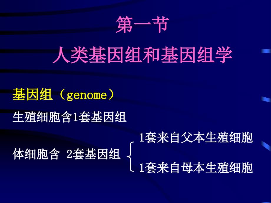 中生物 第03章__人类基因组学_第2页