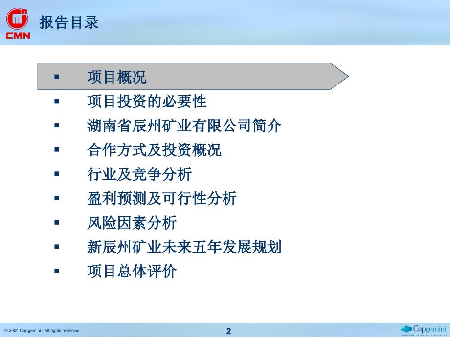 凯捷—五矿有色锑整合项目—财务预测五矿有色参股辰州矿业项目可行性研究报告_第2页