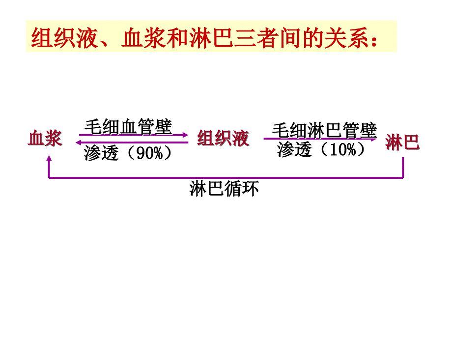 高中生物内环境与稳态 复习_第4页