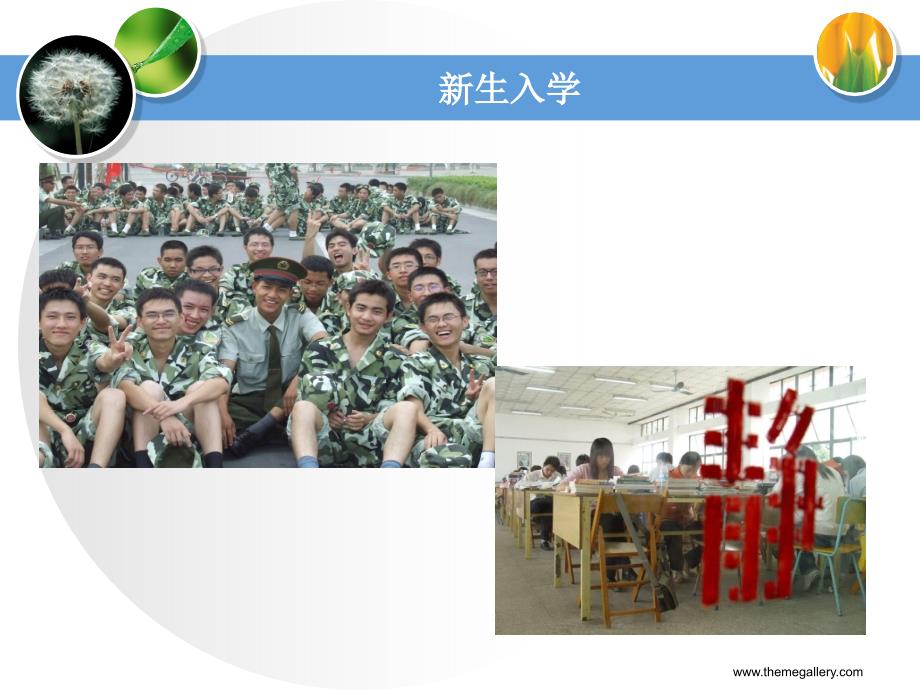 学会适应，快乐生活_第2页