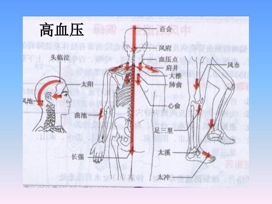 刮痧疗法图片演示_第3页