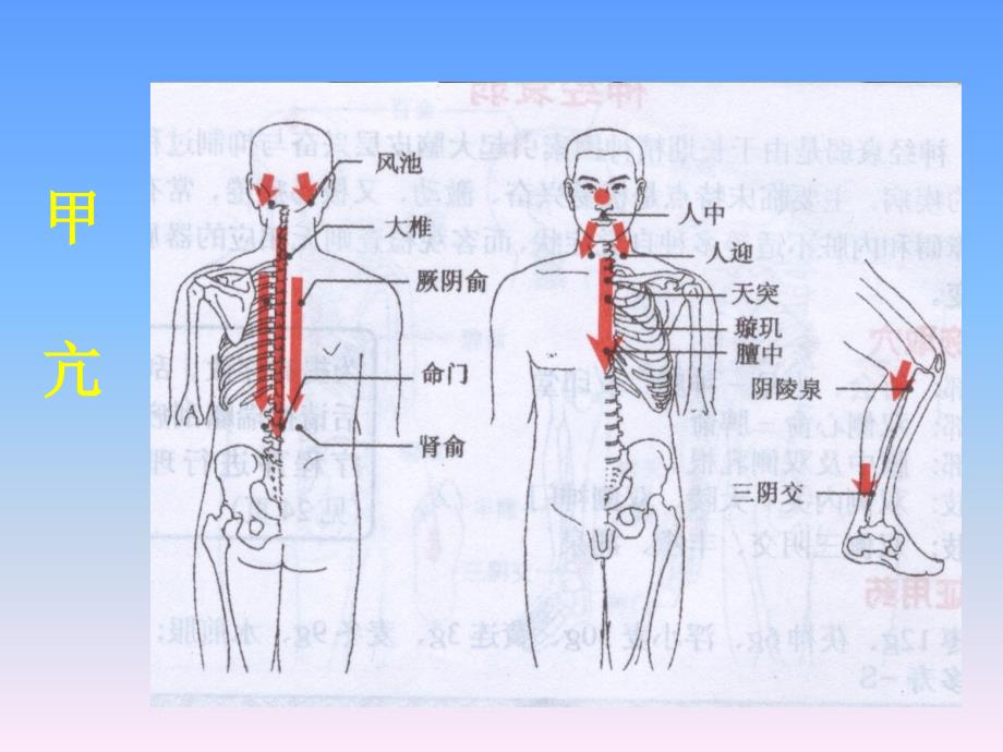 刮痧疗法图片演示_第4页