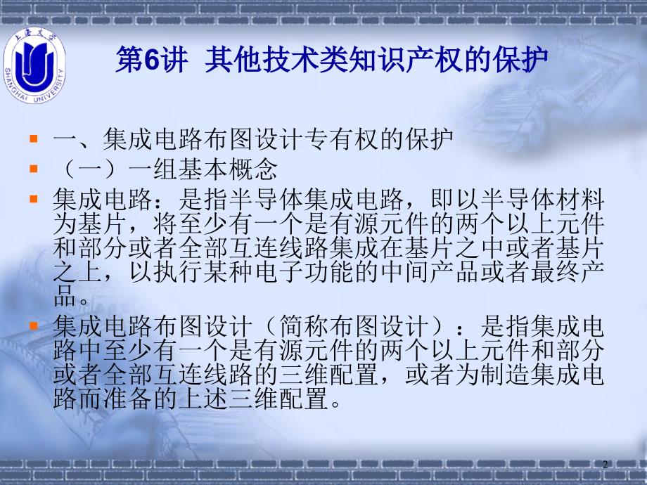 法律课堂 6讲 其他技术类知识产权的保护_第2页