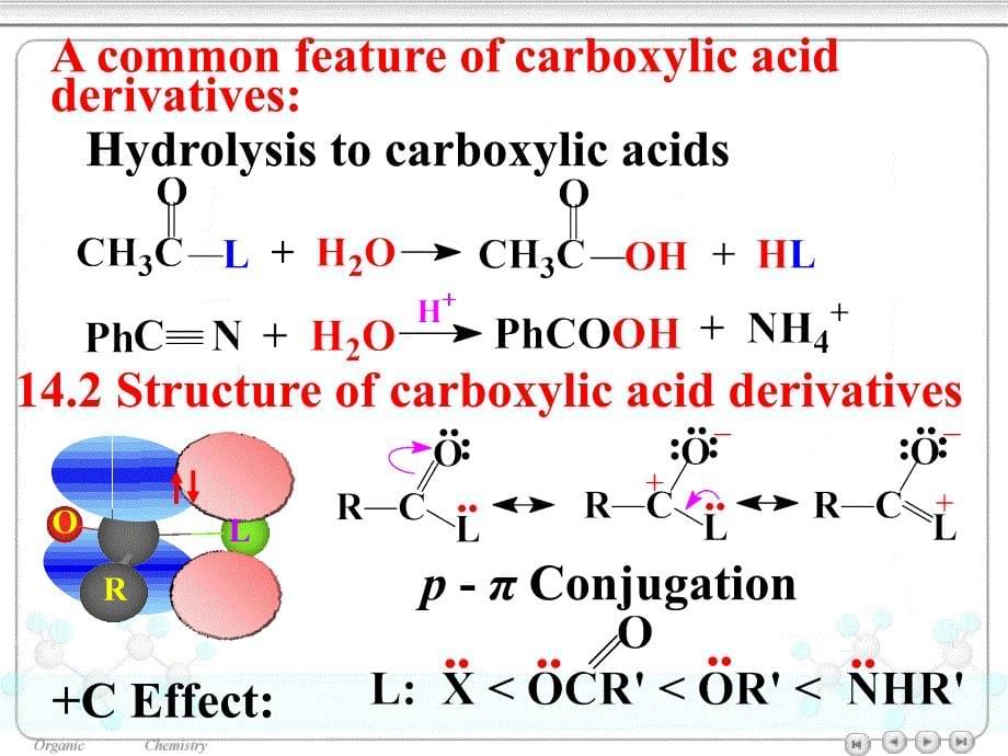 有机化学双语版carboxylicderivatives_第5页