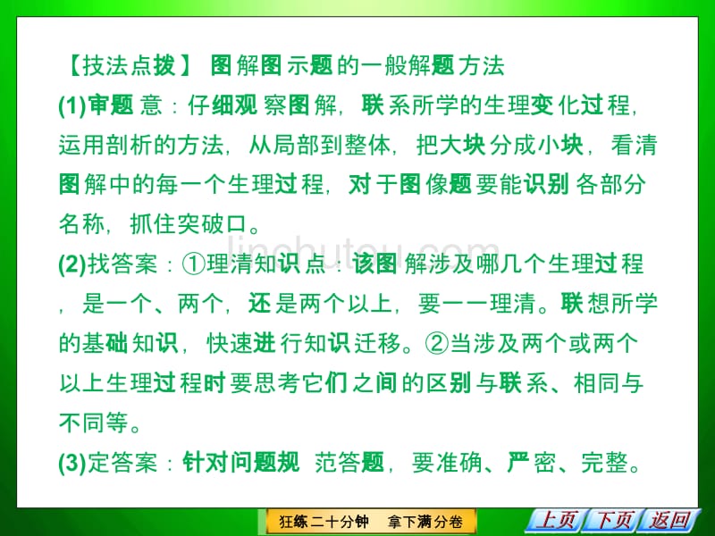 2013创新设计快速解答6种选择题题型3_第5页