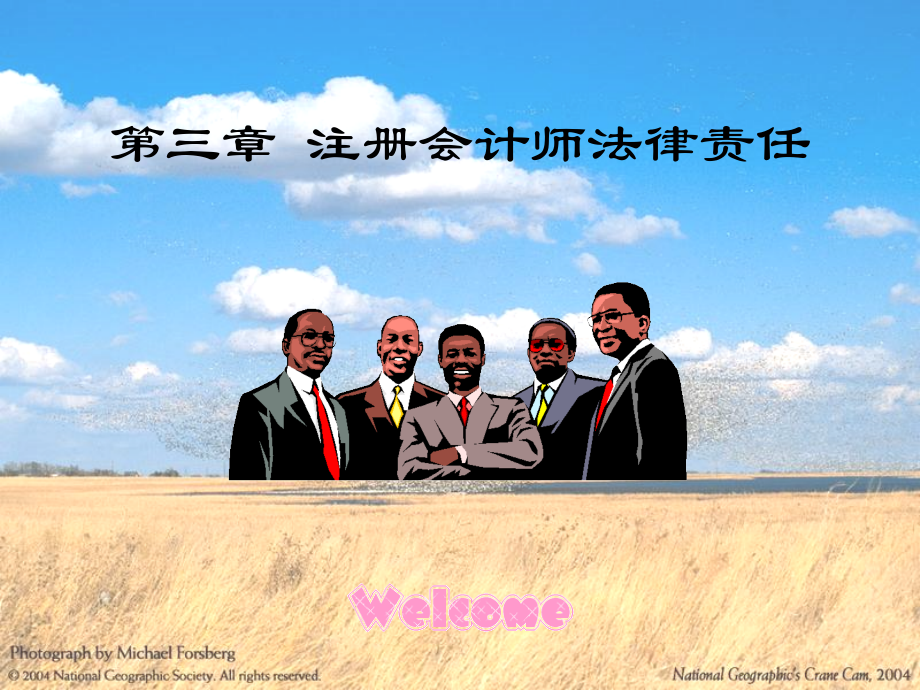 李巍第三章法律责任_第1页