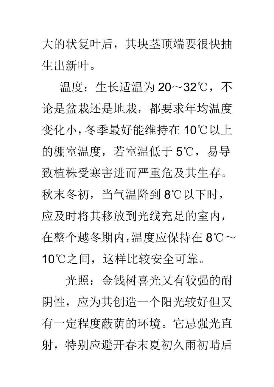 金钱树为多年生常绿草本植物_第3页