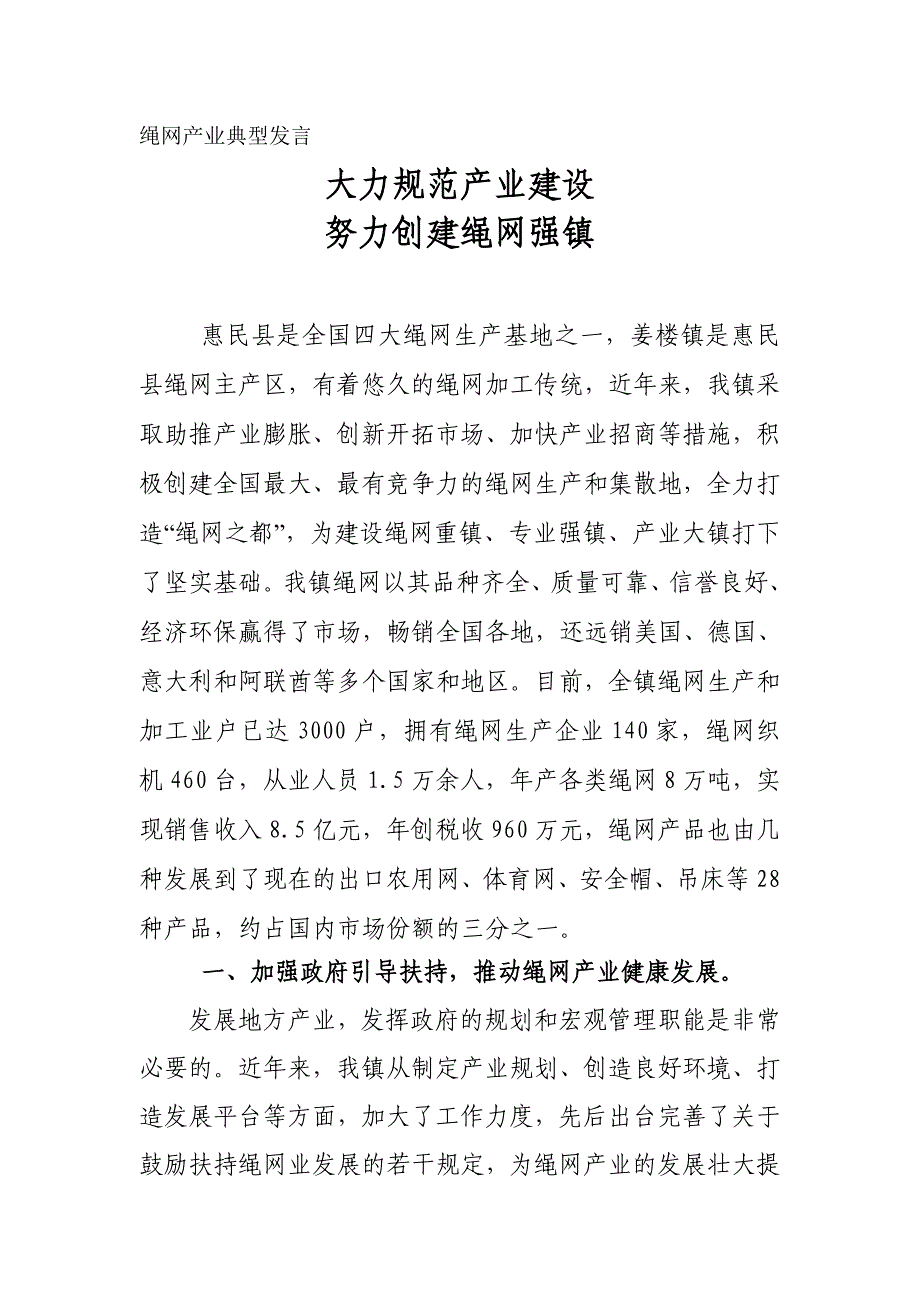 绳网产业典型发言_第1页