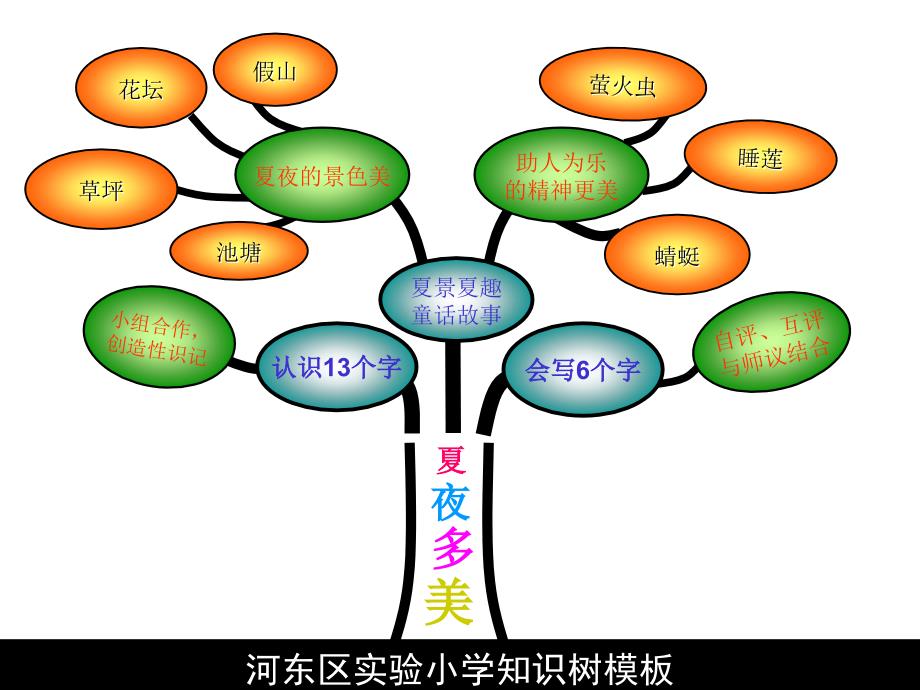 河东区实验小学知识树模板_第3页