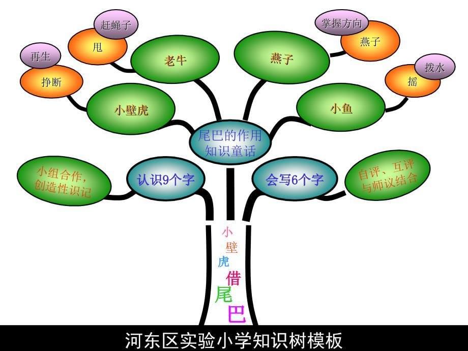 河东区实验小学知识树模板_第5页