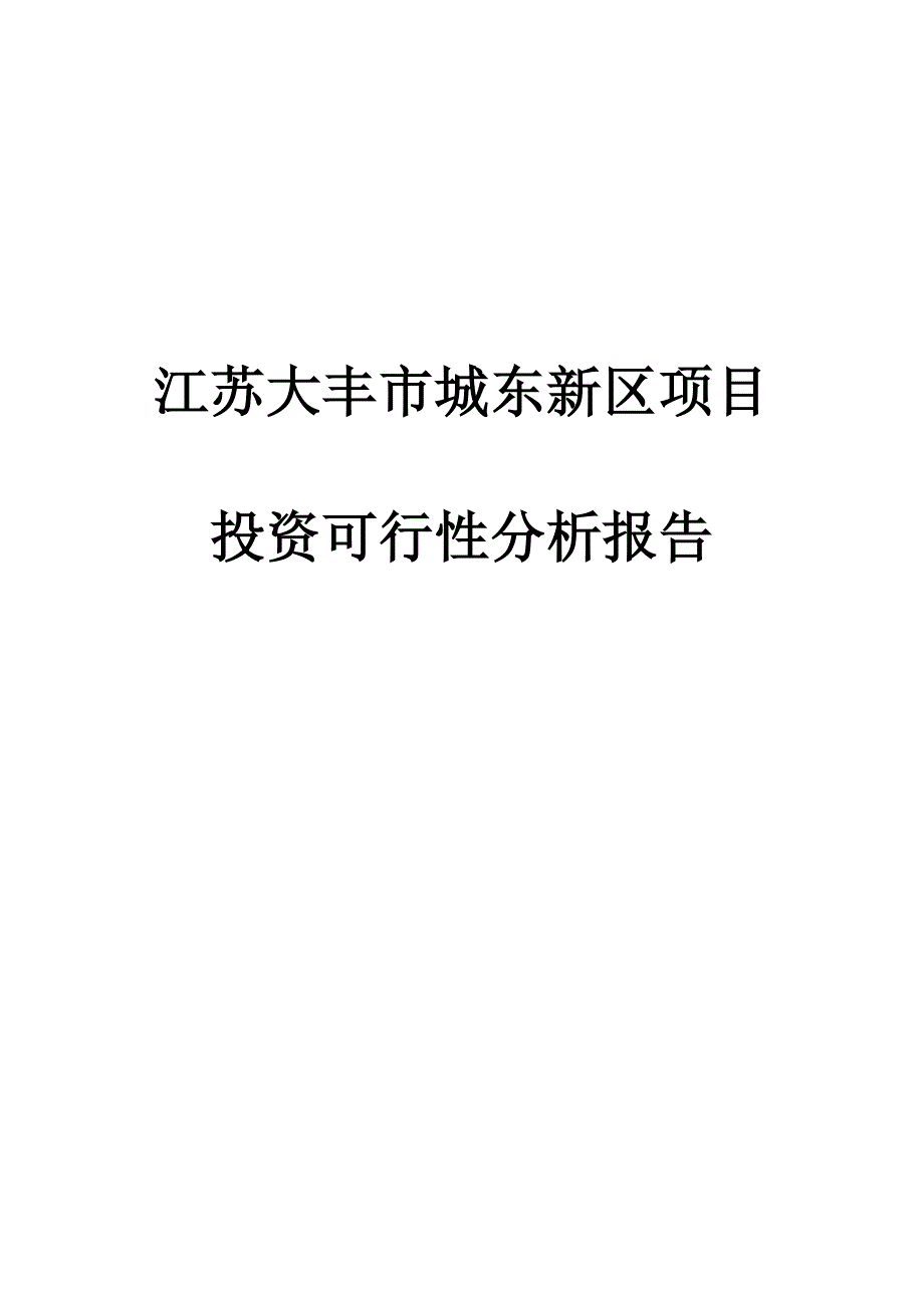 大丰市投资可行性分析报告终稿_第1页