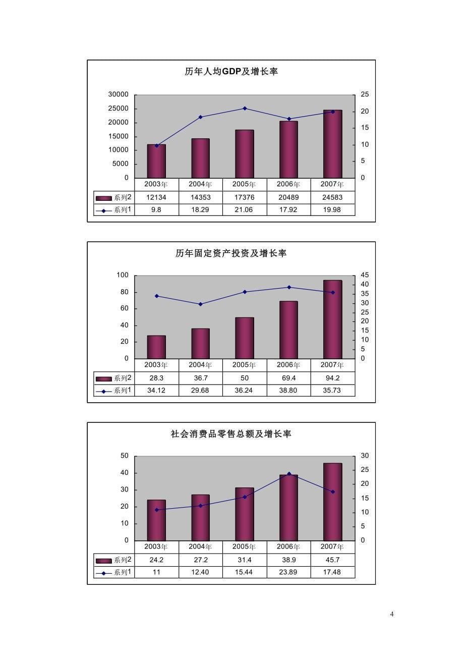 大丰市投资可行性分析报告终稿_第5页