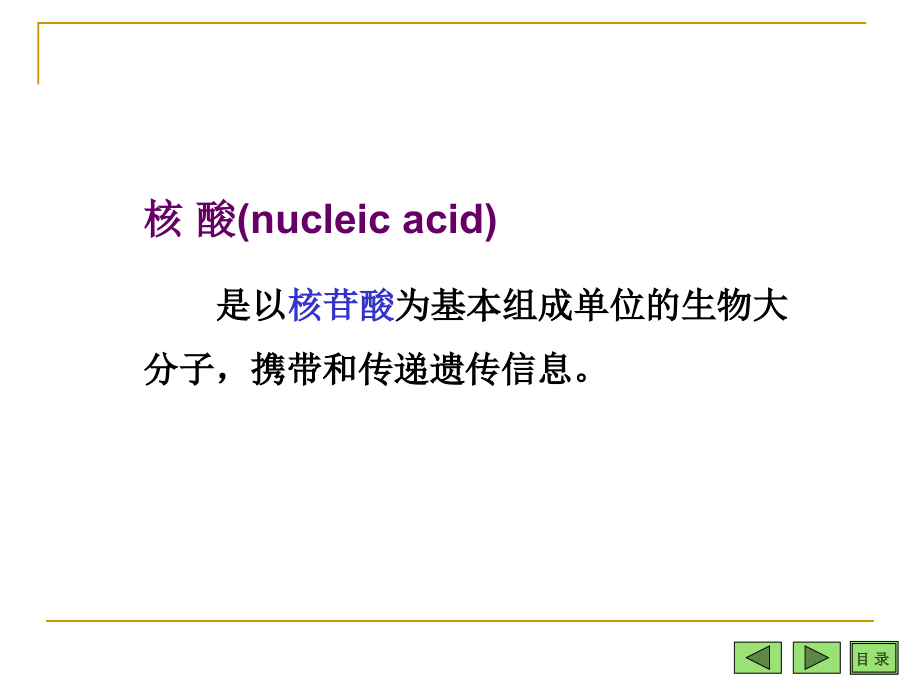 核苷酸与核酸_第2页