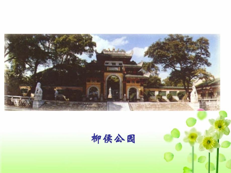 《种树郭橐驼传》课件_图文文库_第4页