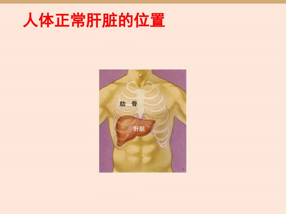 脂肪肝都有哪些害处_郑州肝病专科医院_第4页