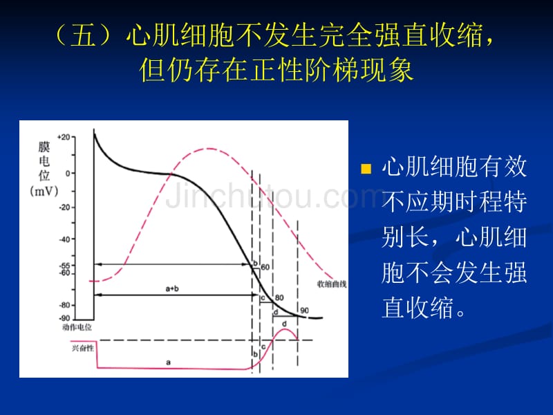 生理0 (10)_第4页