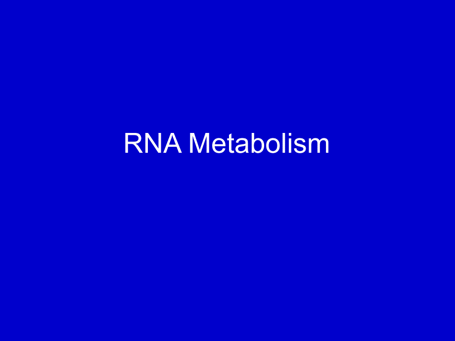 中山大学生命科学院生物化学课件：RNA Metabolism_第1页