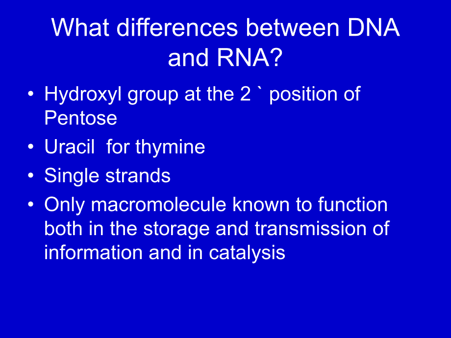 中山大学生命科学院生物化学课件：RNA Metabolism_第2页