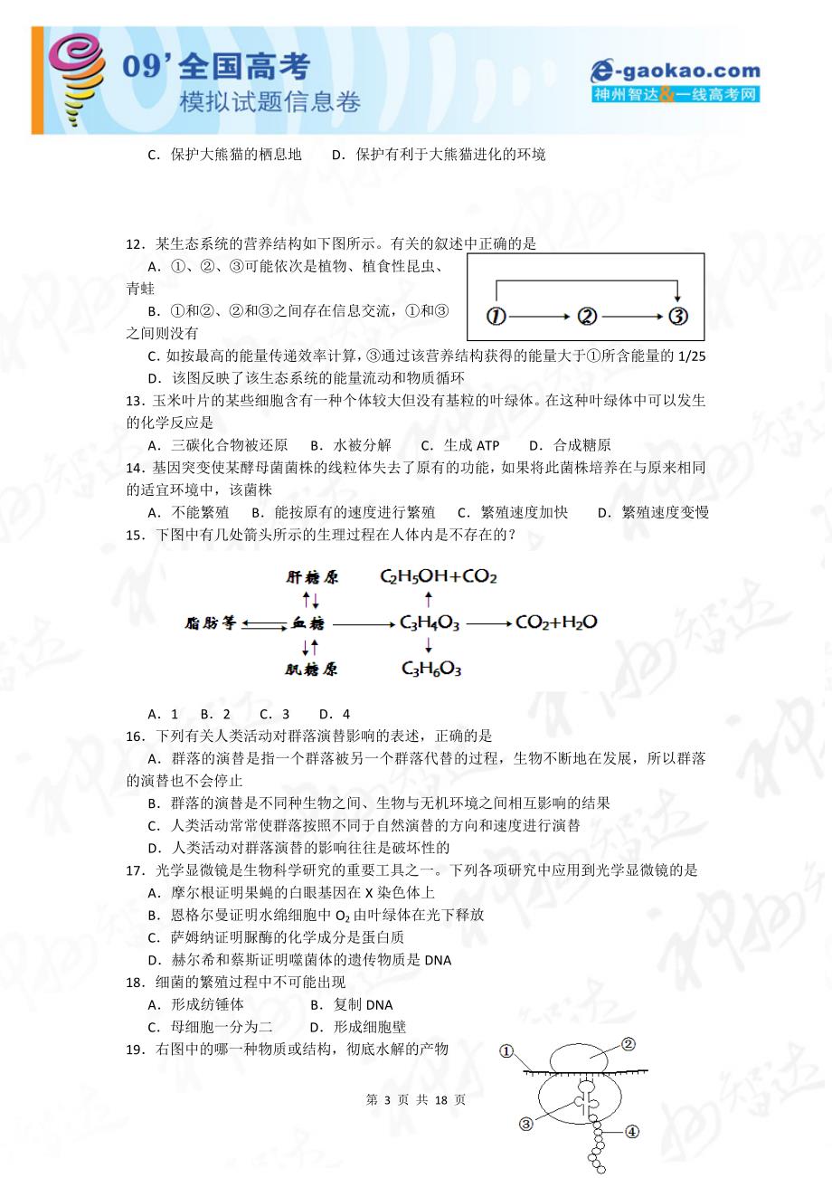 广东省汕头市2009届高三第一次模拟考试(生物)_第3页