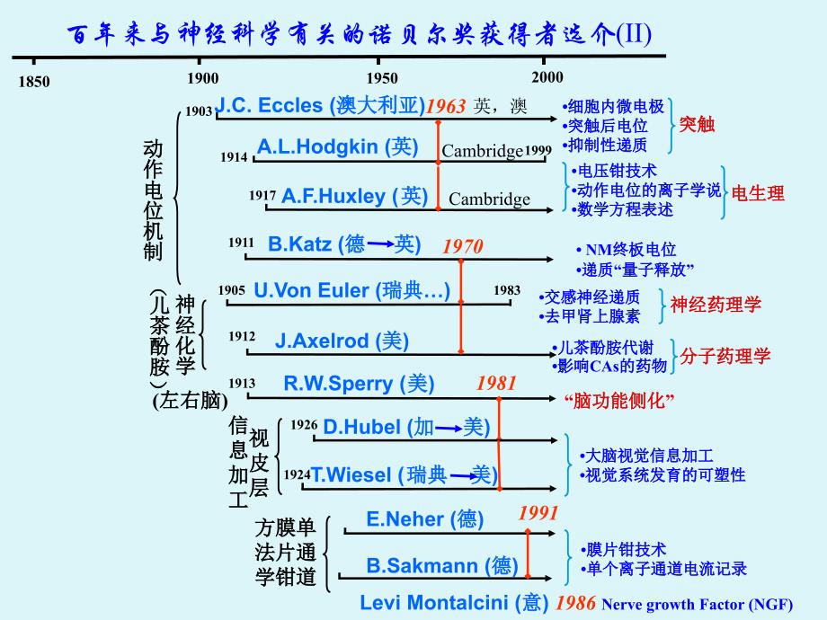 神经生物学第一章_第4页