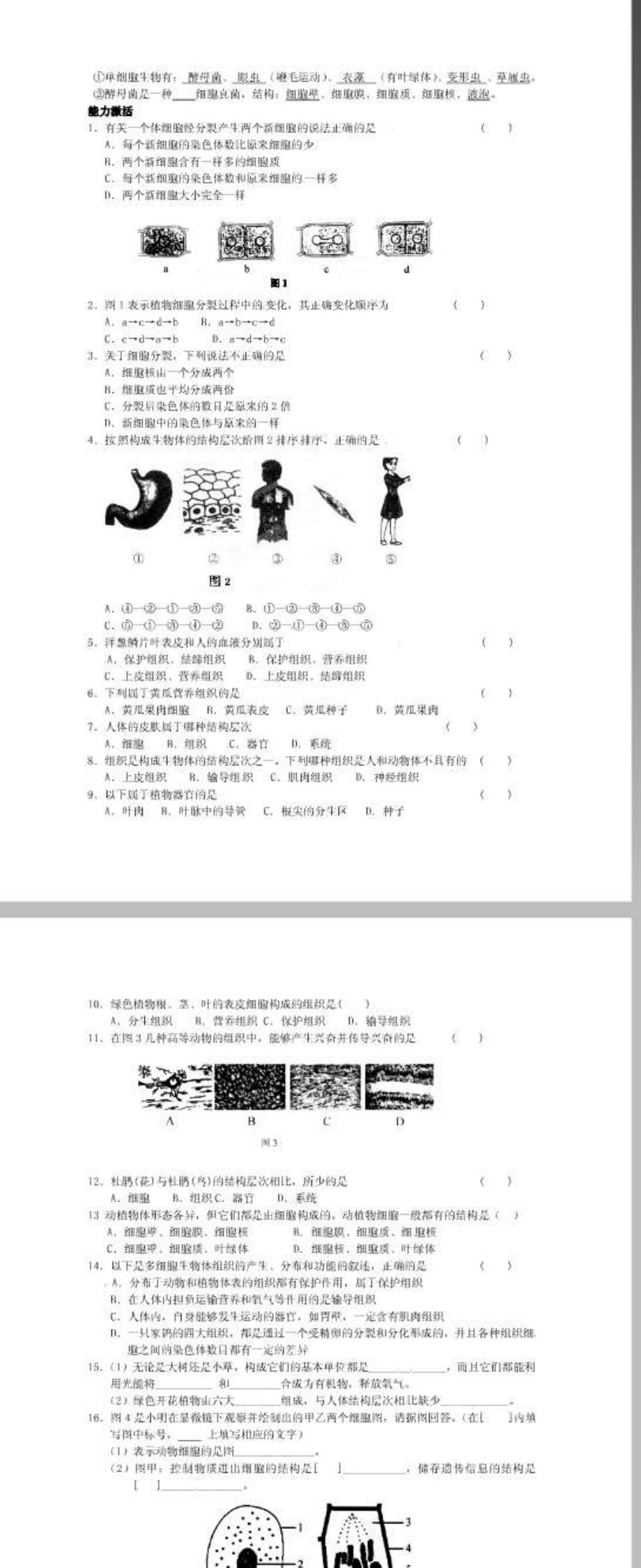 江苏省东海县青湖中学中考生物一轮复习 八年级《专题._第2页