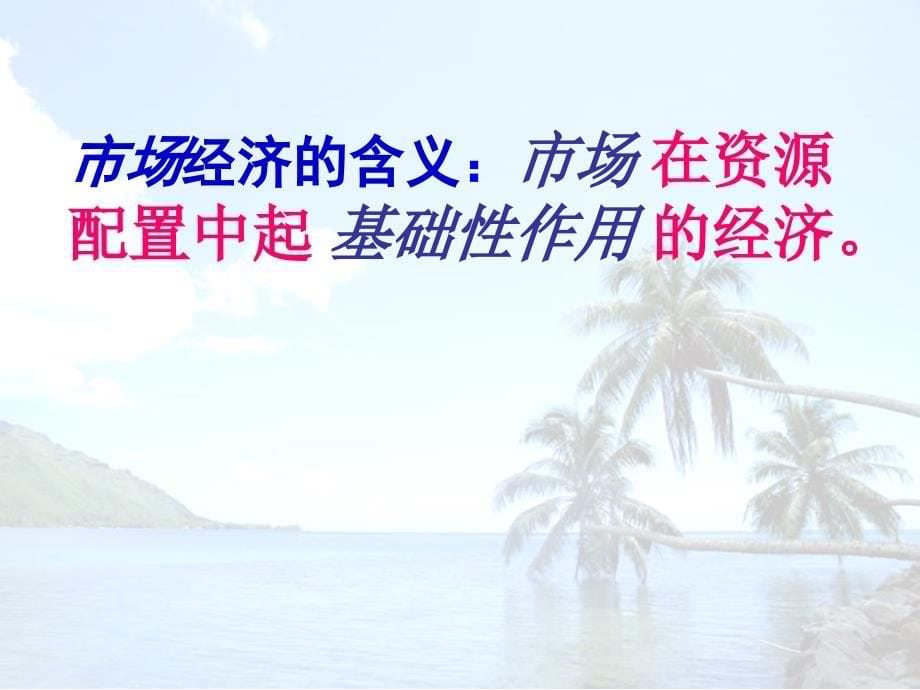 高一政治走进社会主义经济市场1_第5页