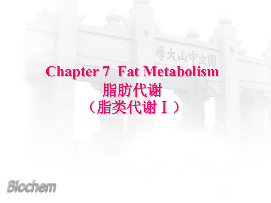 中山大学生命科学院生物化学课件：ch7脂肪代谢_第2页