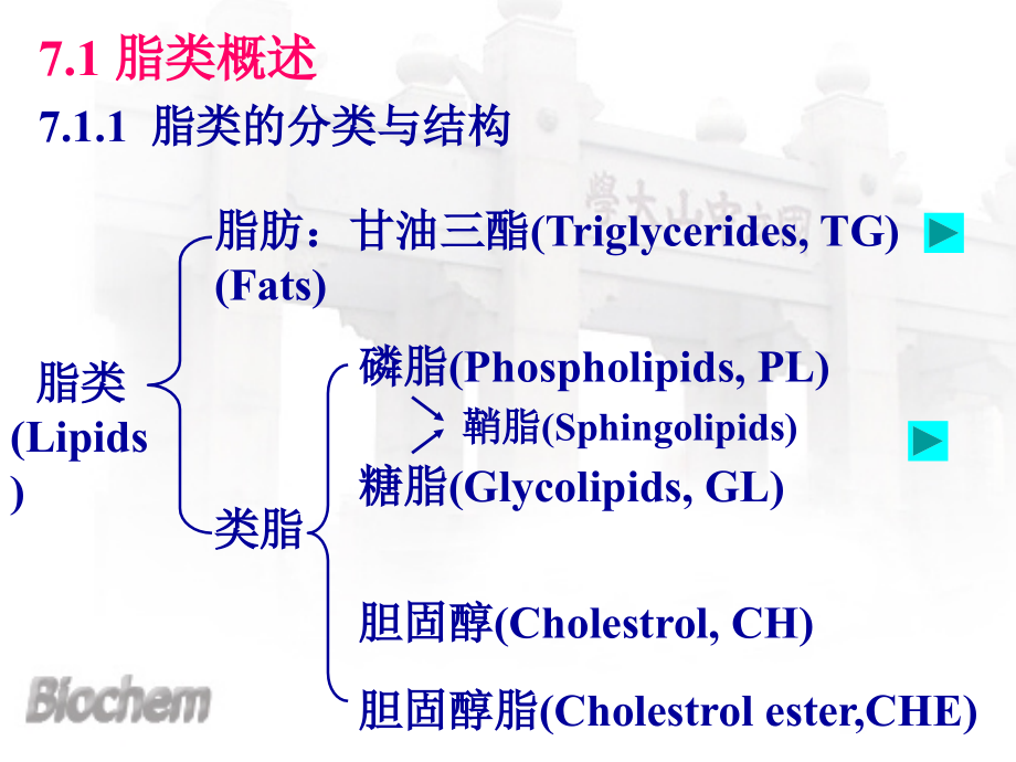 中山大学生命科学院生物化学课件：ch7脂肪代谢_第4页