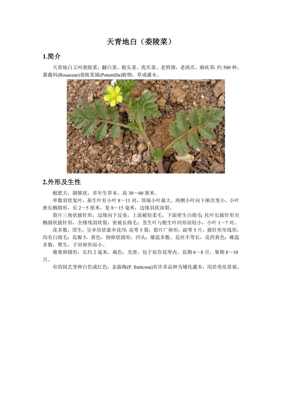 天青地白-药材_第1页